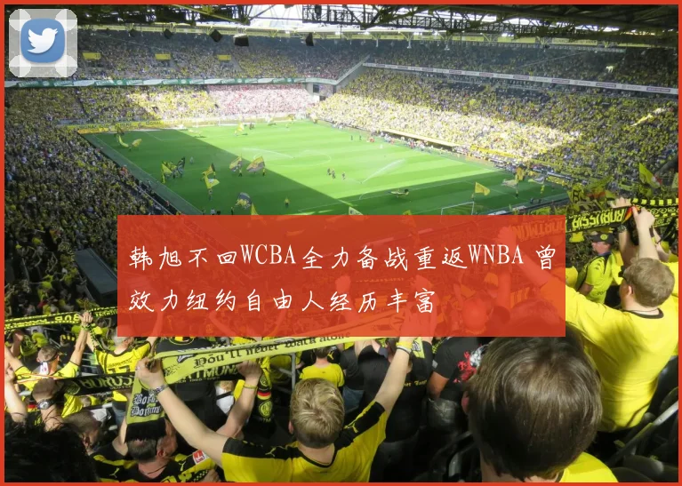 韩旭不回WCBA全力备战重返WNBA 曾效力纽约自由人经历丰富