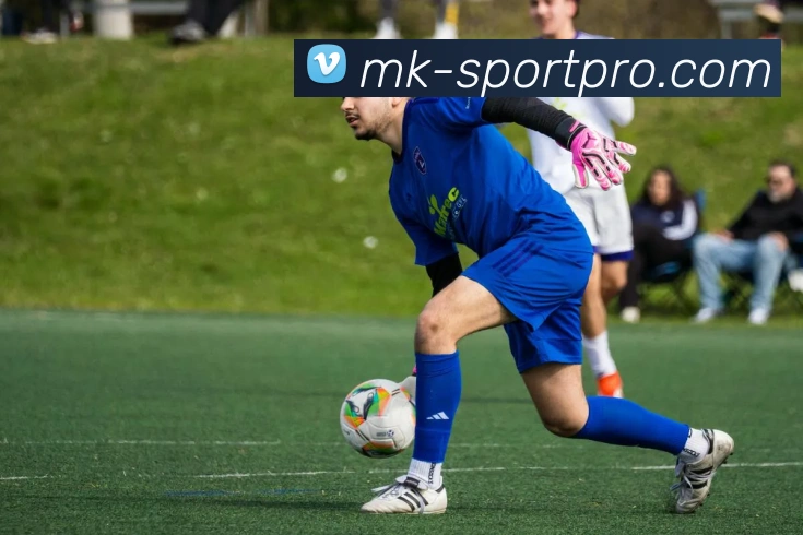 MK体育平台展示图